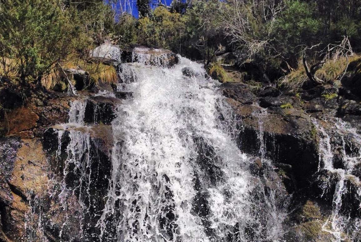 Waterfall cascading down rocks surrounded by trees and green foliage.