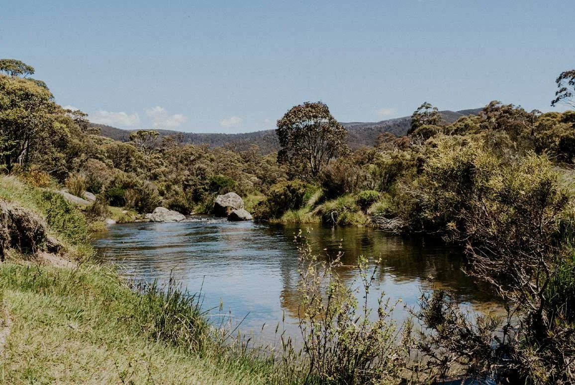 A peaceful river flowing through a lush, green landscape with trees and shrubs on both sides under a clear blue sky.