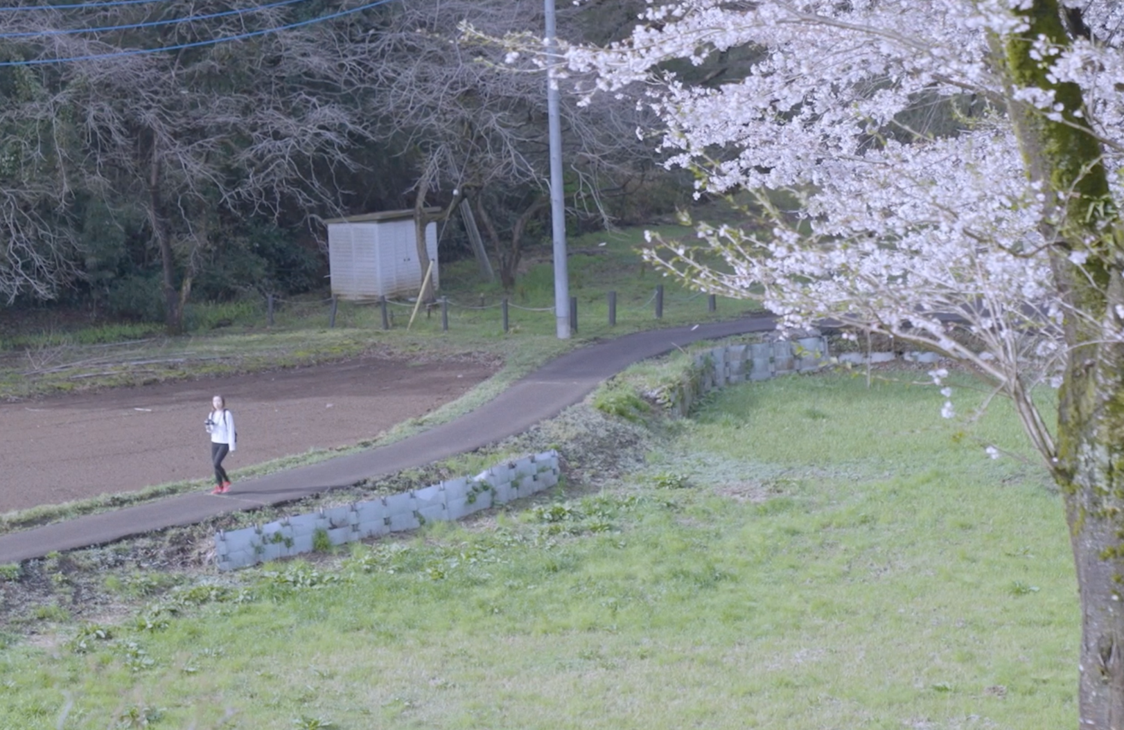 Screenshot 2026-04-24 at 12.52.06.png