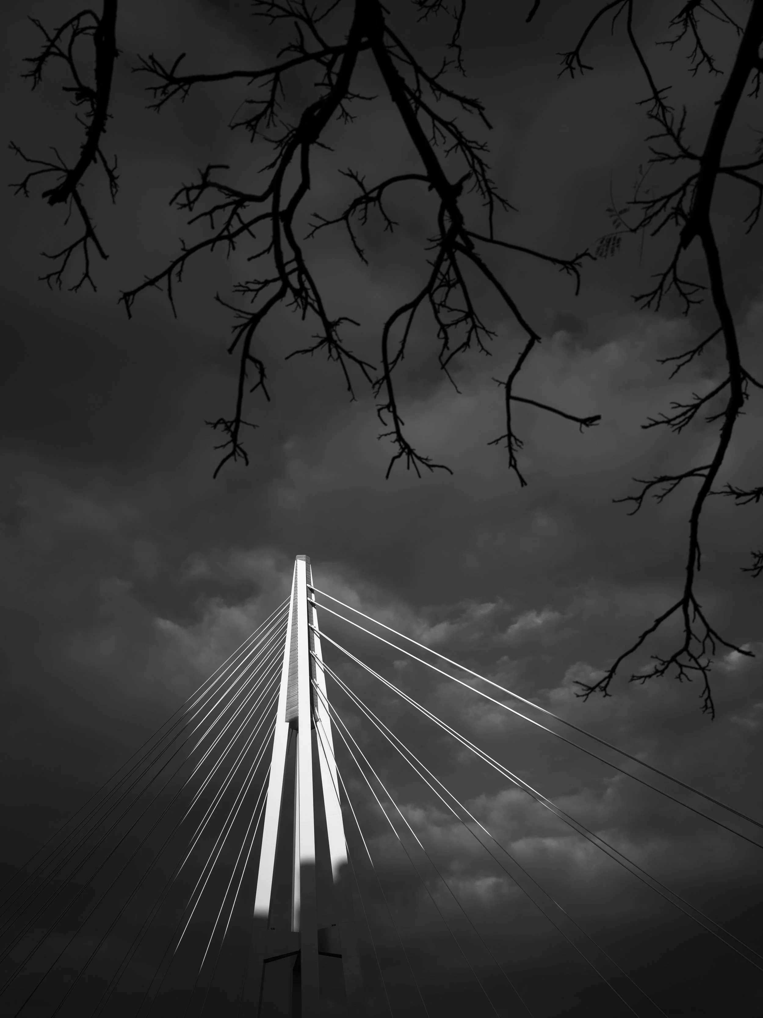 Black and white photo of Kangaroo Point Bridge