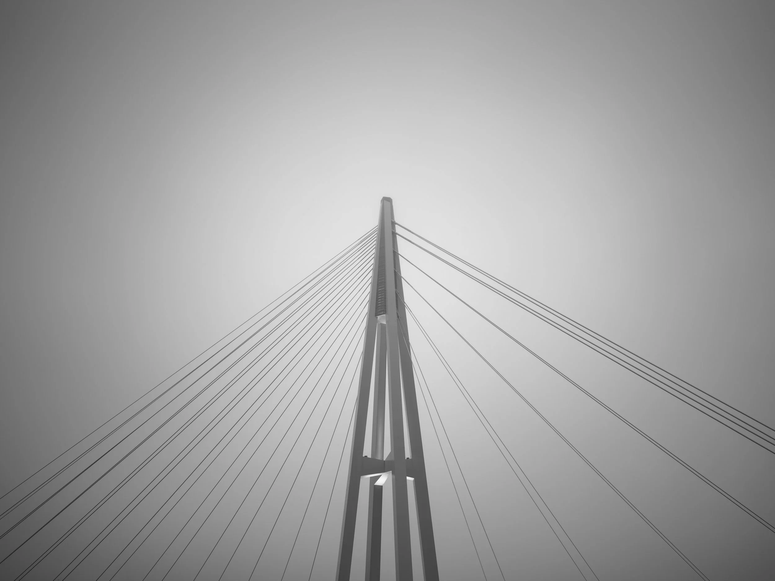 Black and white photo of Kangaroo Point Bridge in fog
