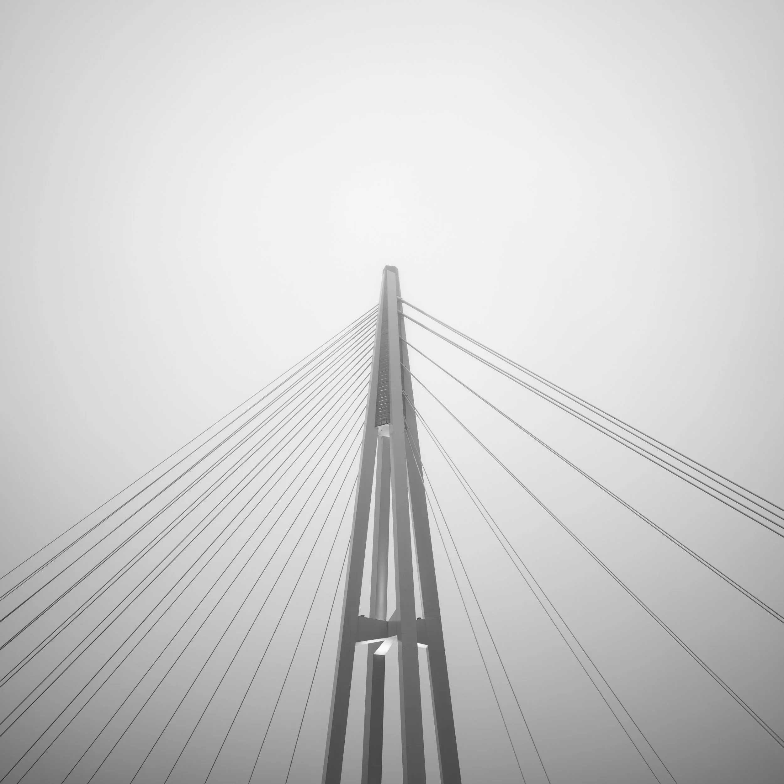 Brisbane Collection #28