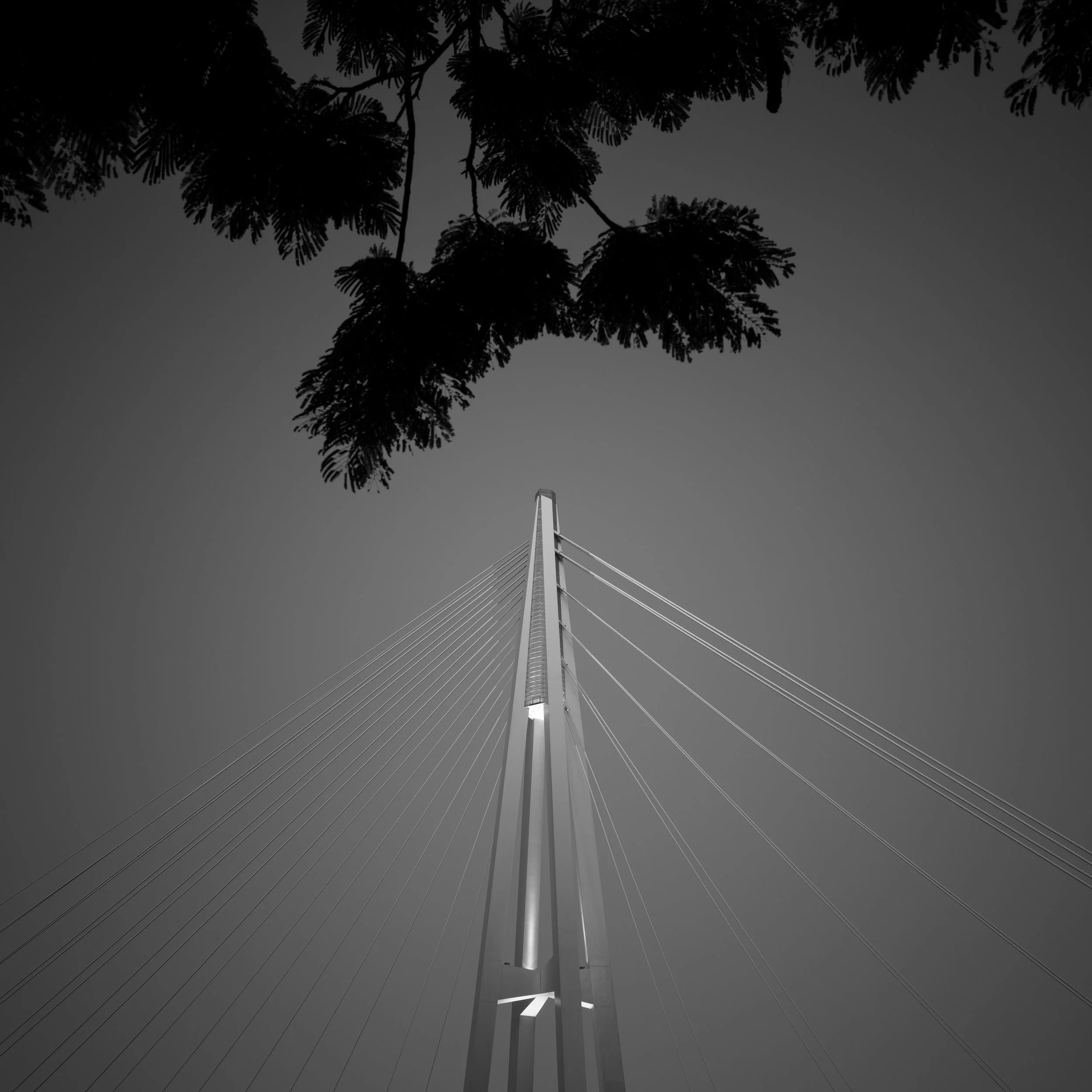 Black and white photo of Kangaroo Point Bridge