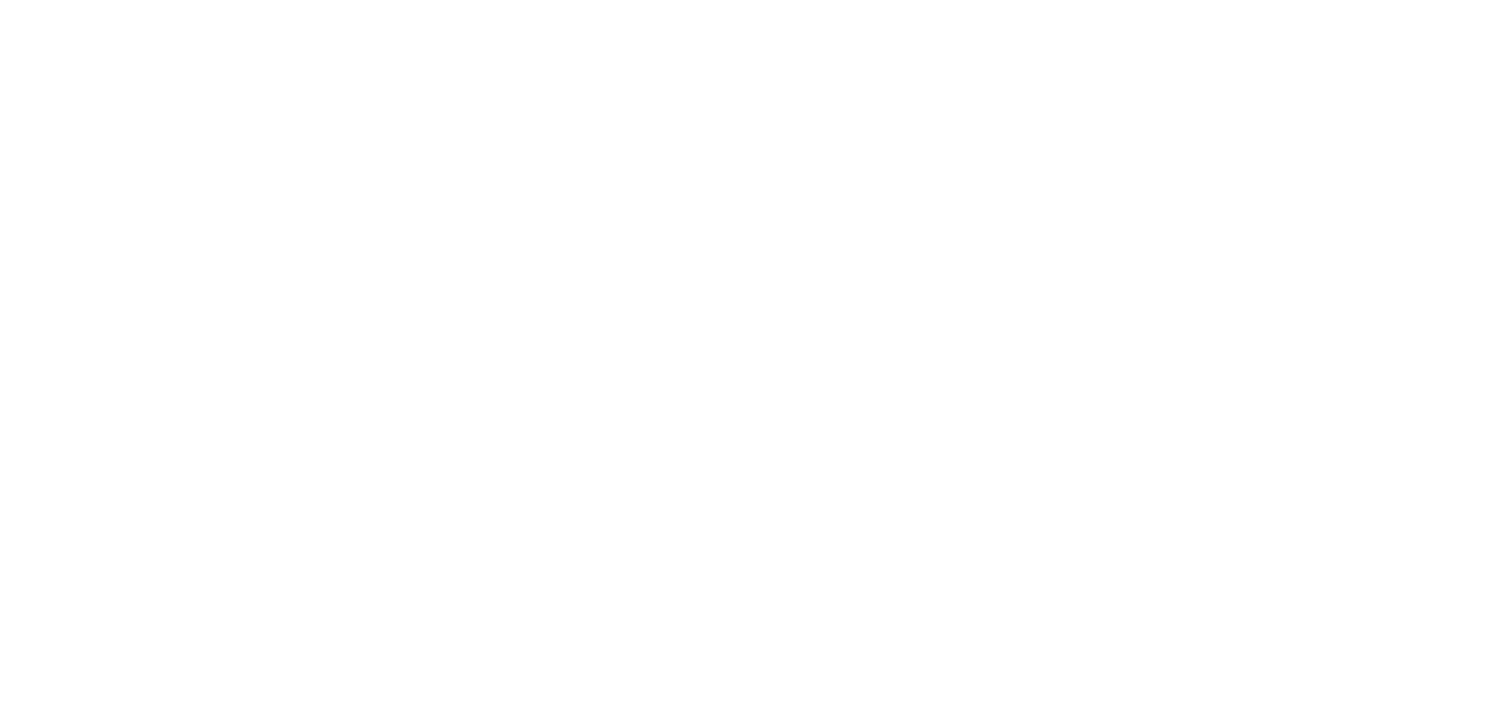 The image is blank with a predominantly white background.