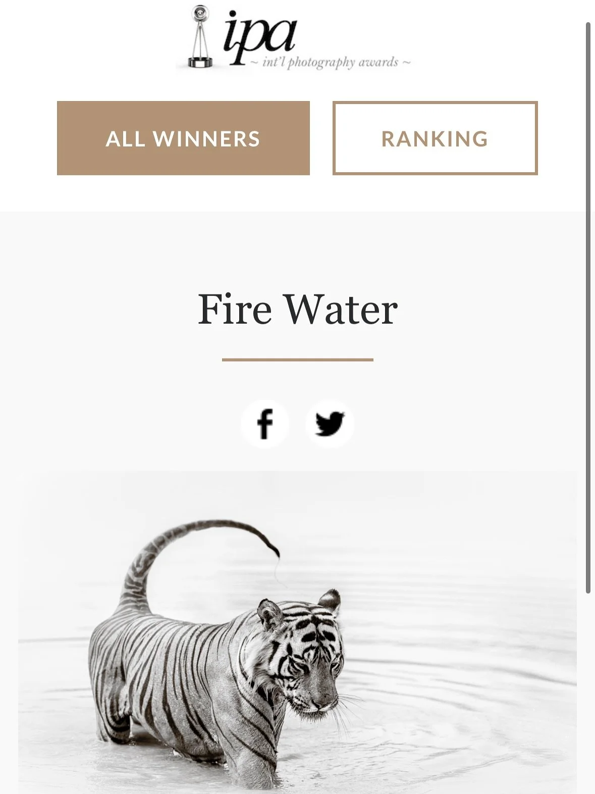 I&rsquo;m very excited to share that 4-7 images submitted in the professional photographer category to the prestigious, international photography competition, IPA (International Photography Awards), have placed as Honorable Mention! A fifth made it t