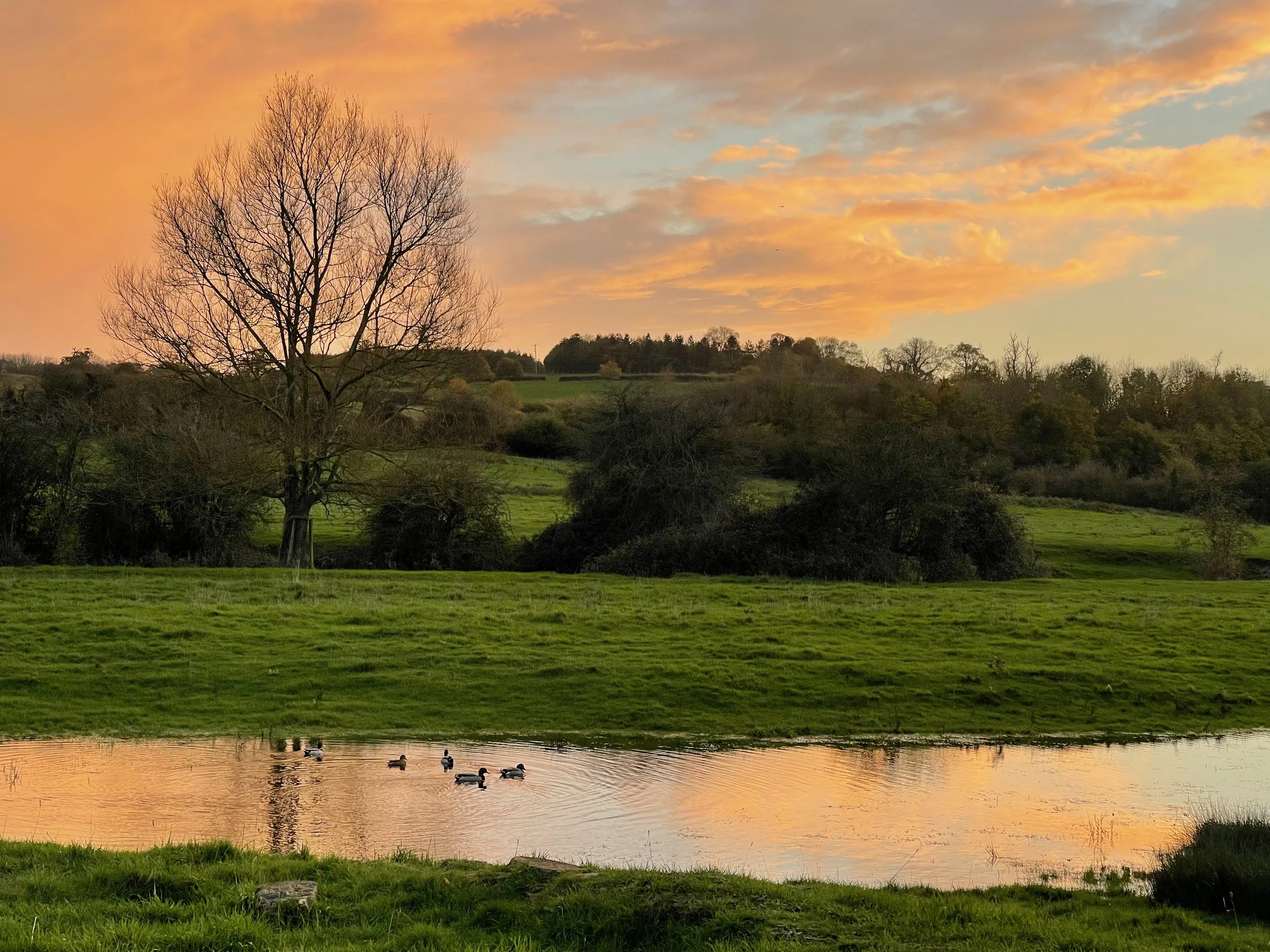 Climate Change Focus for a Neighbourhood Plan Review
