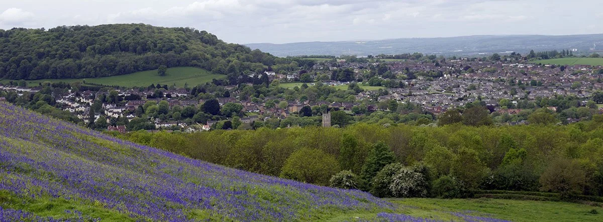 Landscape led Design Code