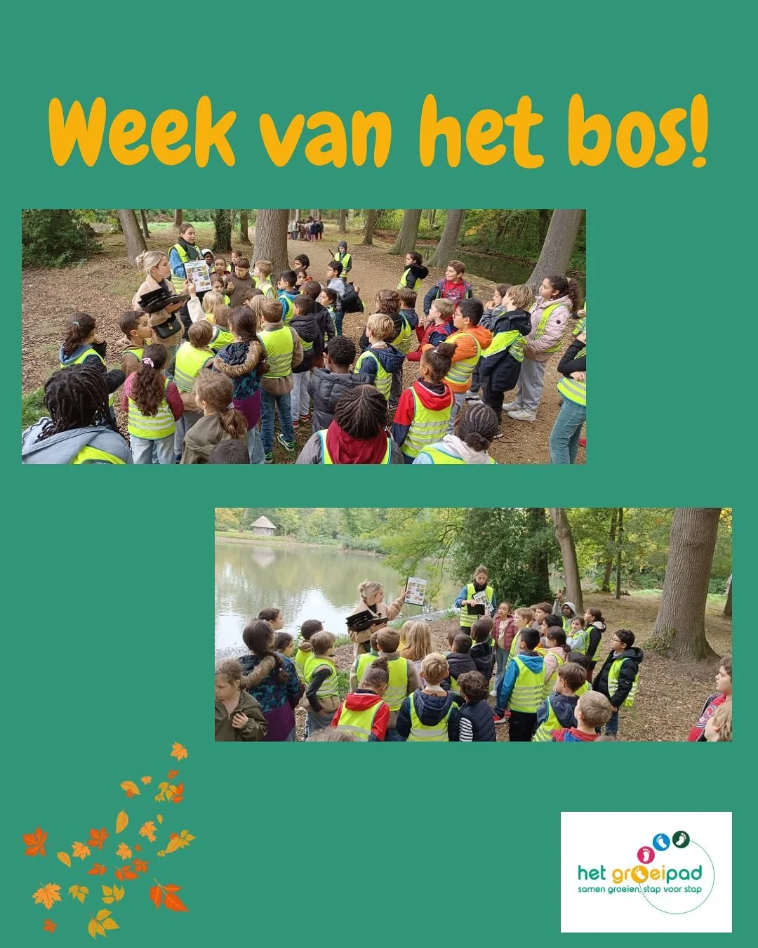 🍁 WEEK VAN HET BOS 2025 🍁  Met zo een fijn bos ( Hof ter Linden) in onze achtertuin kunnen we heel makkelijk op ontdekking gaan. De leerlingen van het 1ste, 2de, 3de en 4de leerjaar beleefden een leerrijke en leuke namiddag.