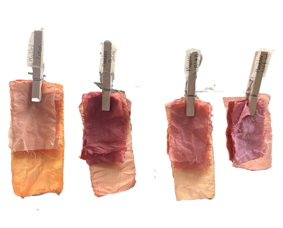 Four cloth samples attached to clothespins, labeled with handwritten tags, hanging on a string against a black background.