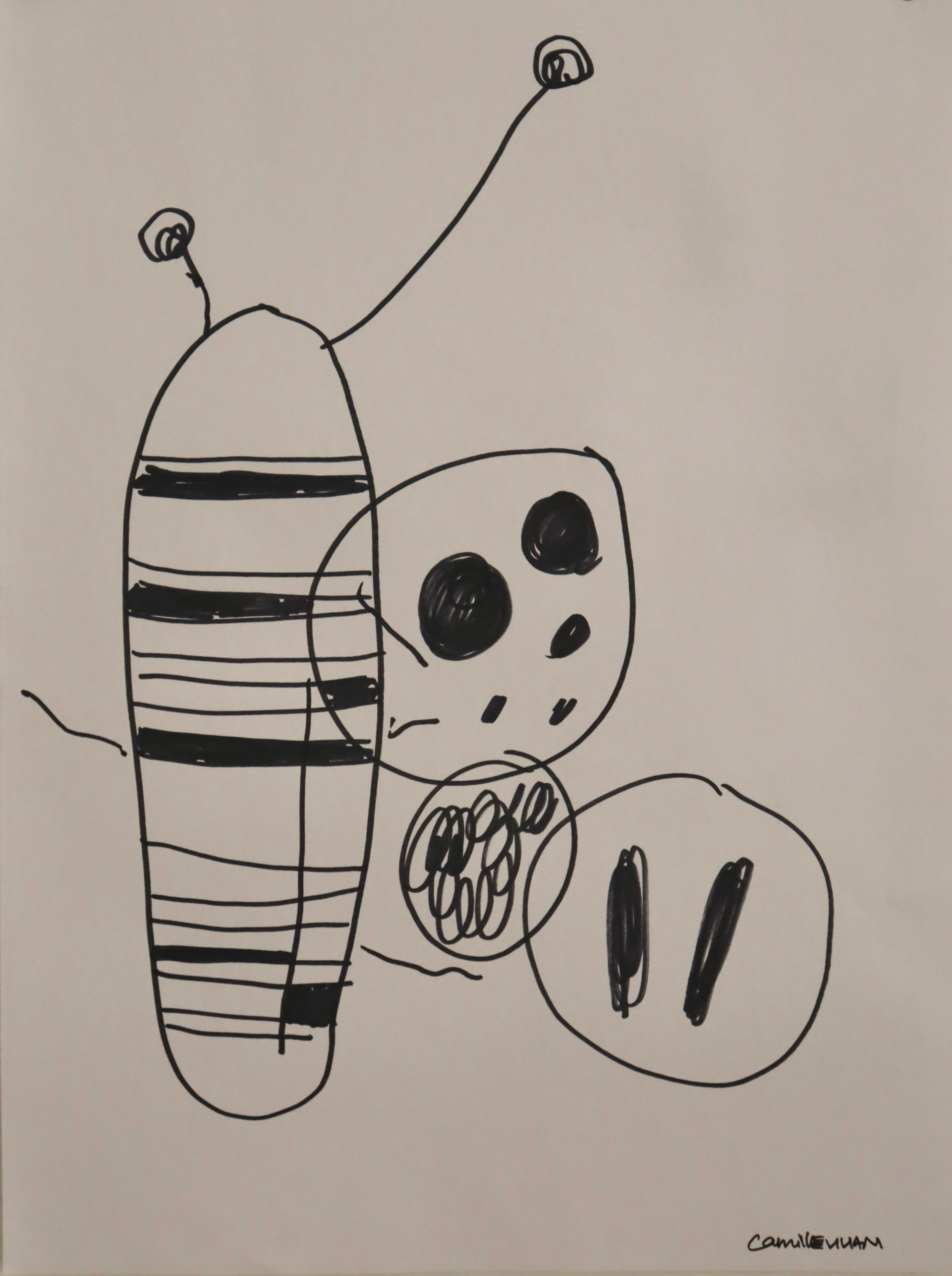 IMG_7456.png