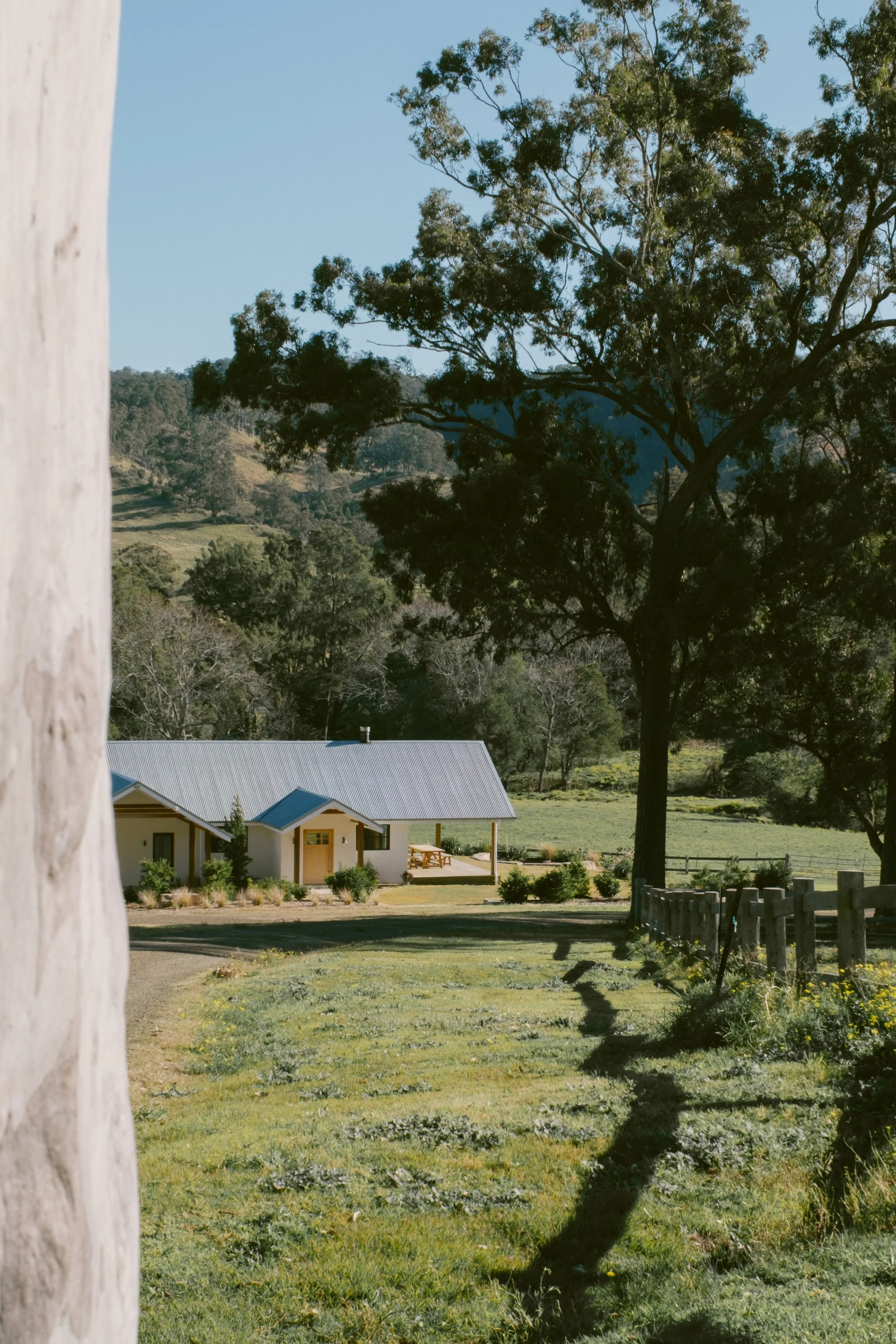 A house with a blue roof and a front porch is set against a backdrop of green trees and hills. The scene is sunny with a clear blue sky, and the house is surrounded by a grassy yard with a wooden fence and garden beds.