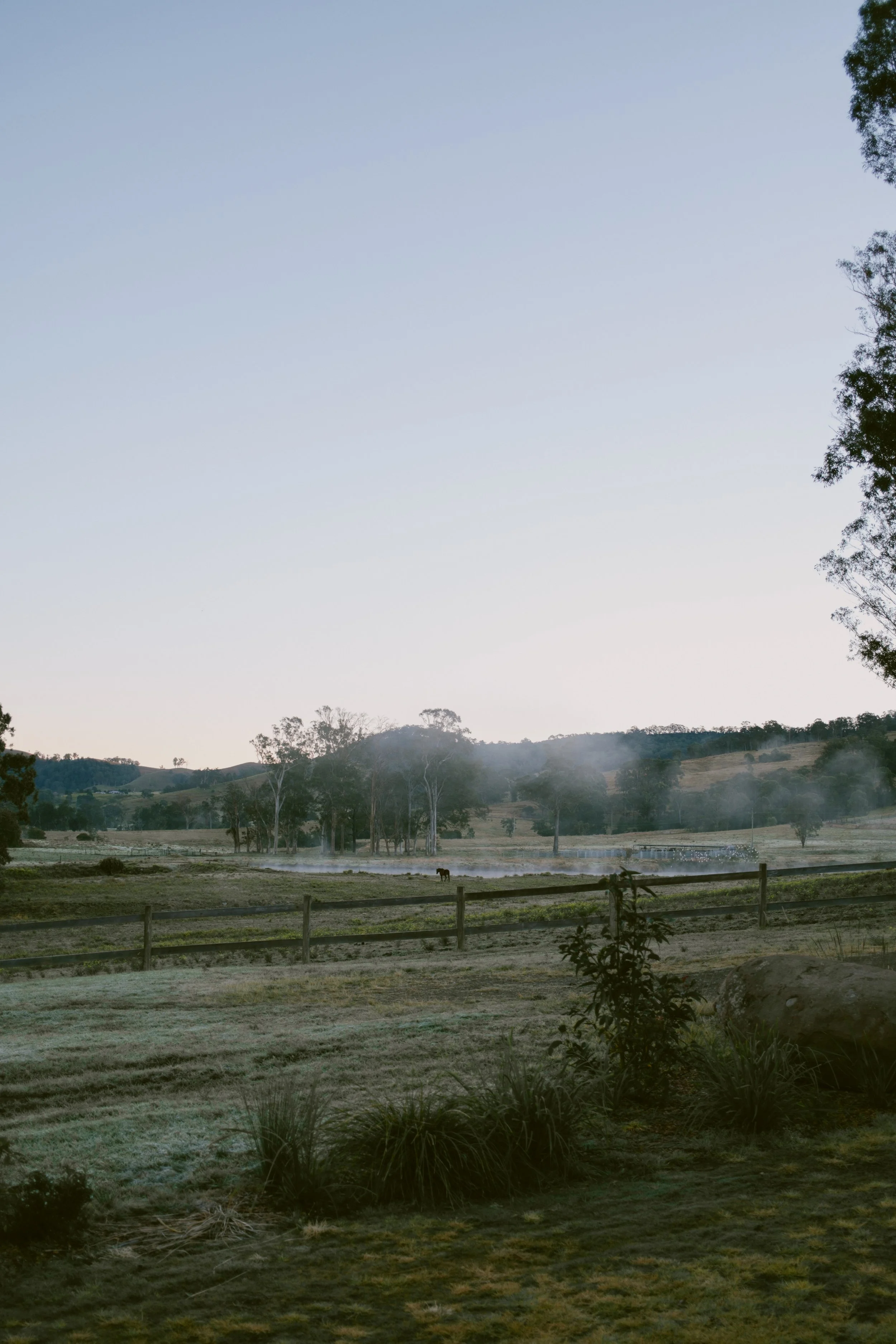 A rural landscape with rolling hills, fields, scattered trees, a wooden fence in the foreground, and a horse grazing near misty ground, under a clear sky.