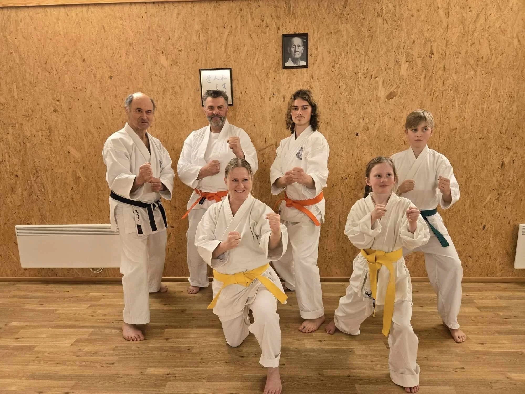 Framsyning av tradisjonell kampkunst – karate, kenjutsu og tai chi