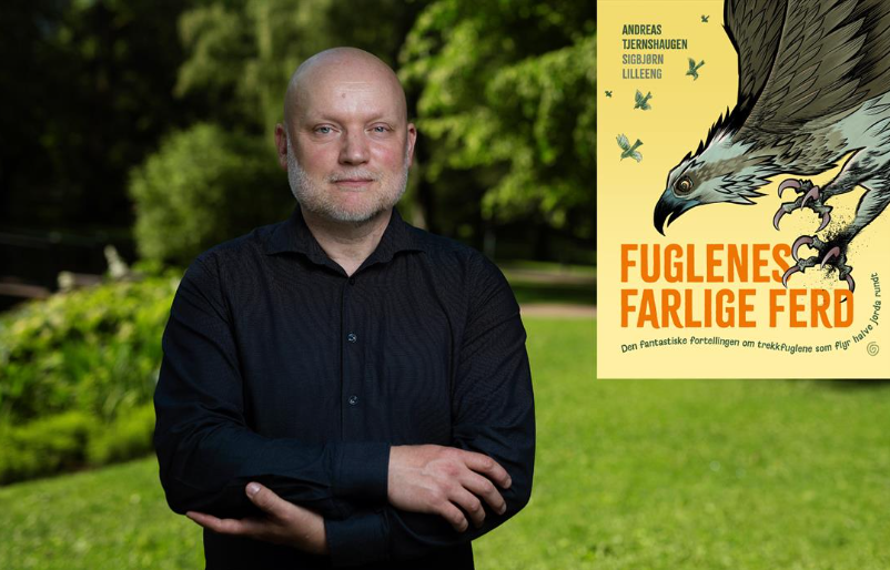Sommerles-fest