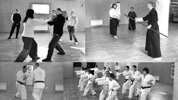 Kom og sjå, og prøv kampkunst – karate, kenjutsu og tai chi