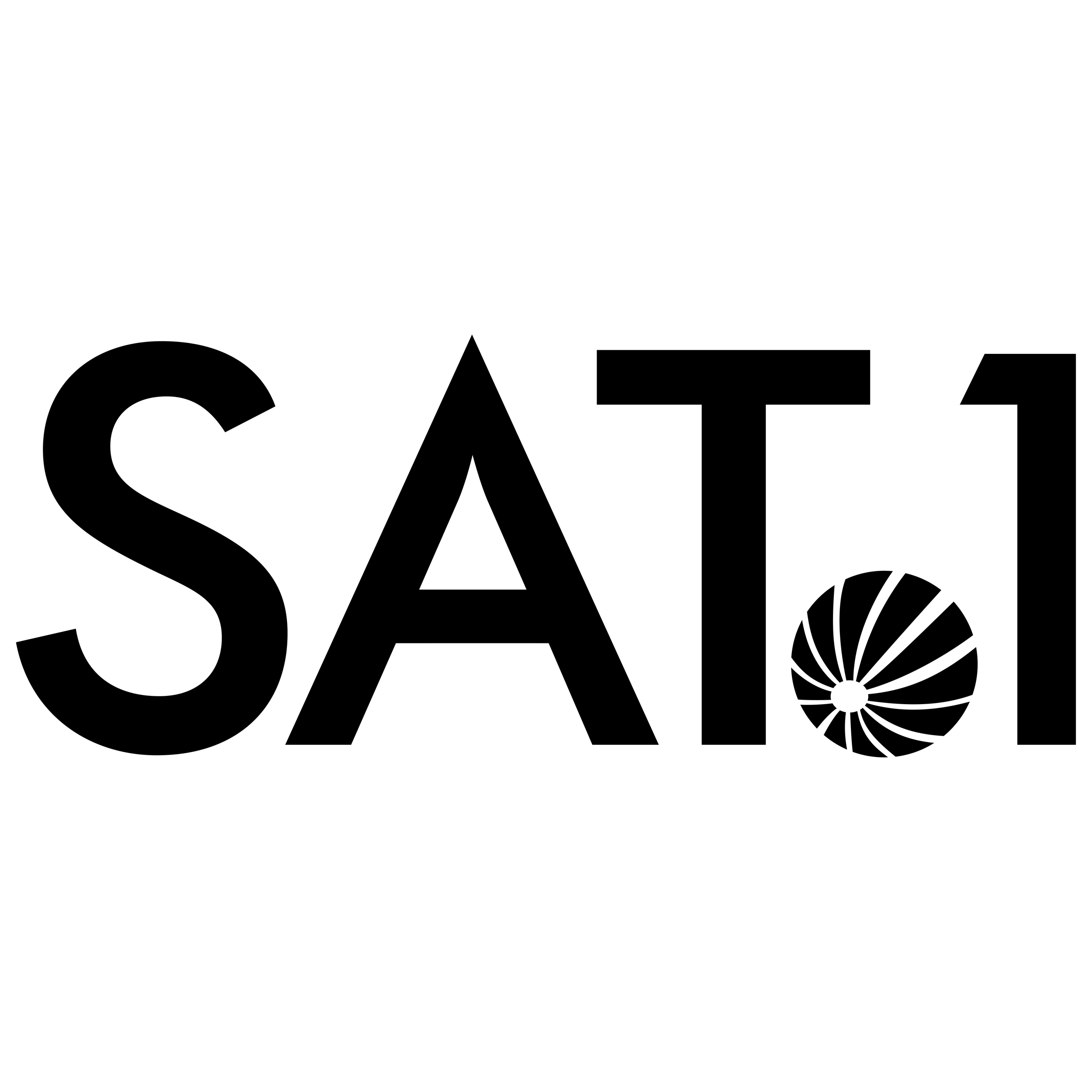 Sat-1-Logo.png