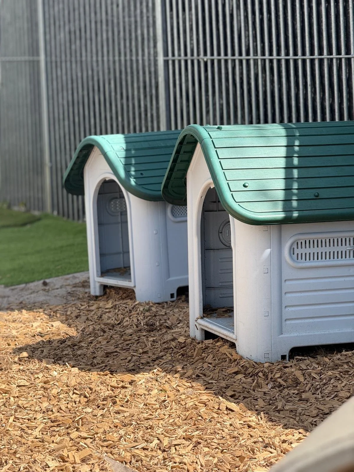 WhatsApp Image 2025-08-17 at 00.08.49.jpeg