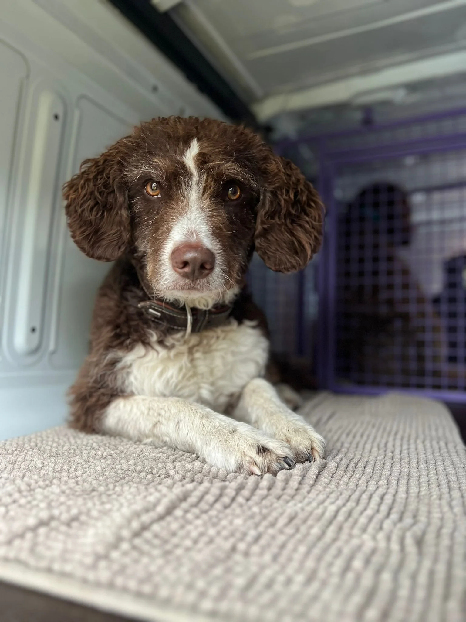 WhatsApp Image 2025-08-17 at 00.19.01.jpeg