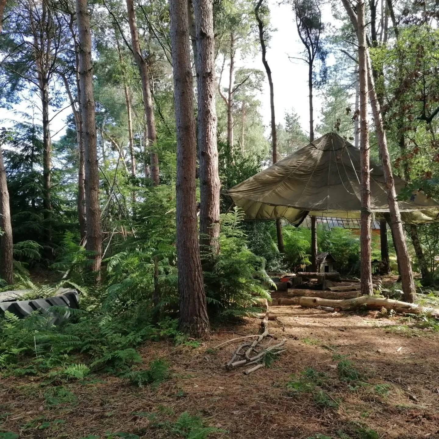 One of our regular kids club @vintageplayroom_liverpool visiting Weatherstones woods last summer. Real hands-on private woodland experience for children. Learning new skills such as bushcraft, fire lightning, cooking on the campfire, chilling on swin