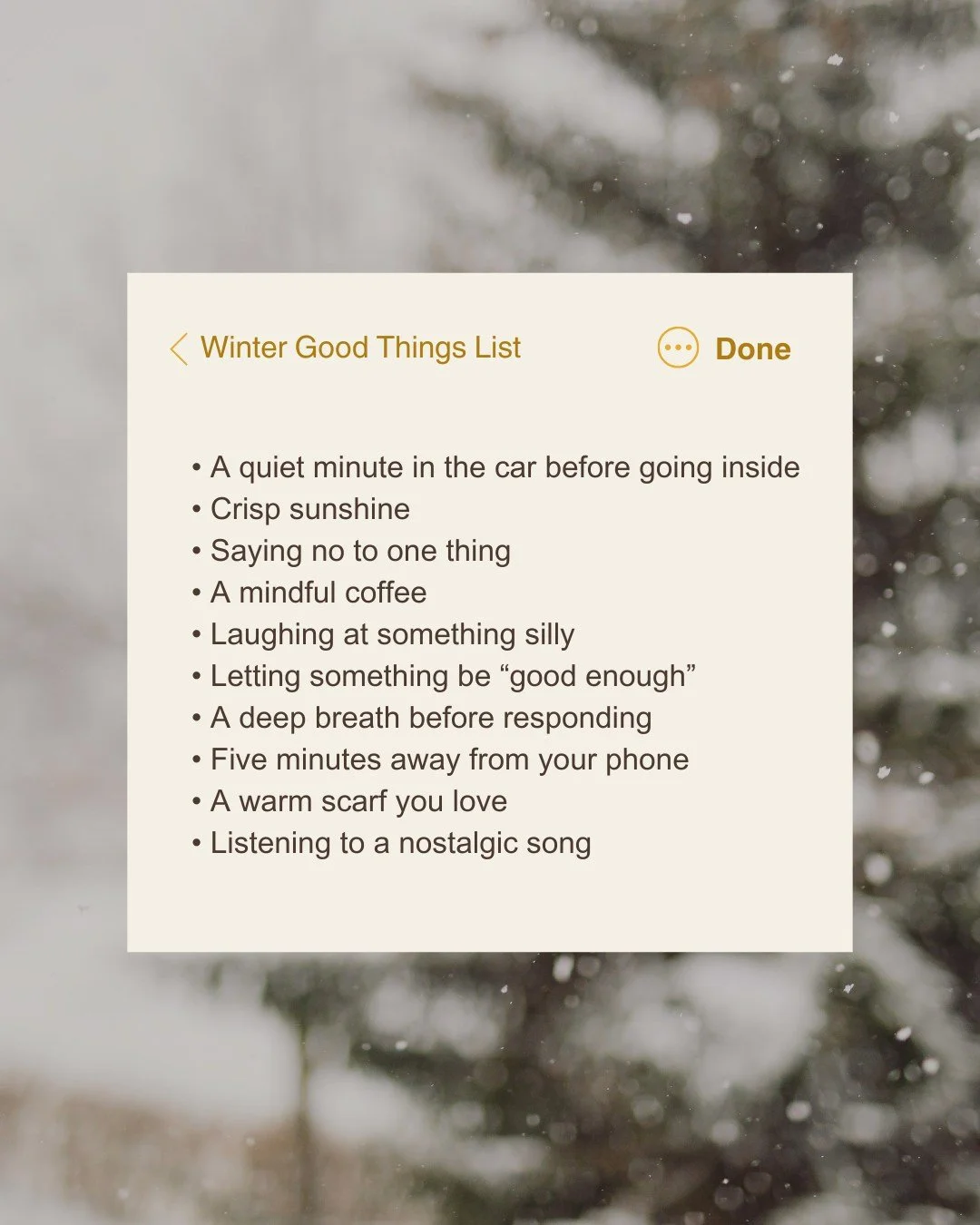 Winter is full of rushing between things, juggling family life and trying to keep up with everything ❄️

But tiny moments, the real-life ones can still support your nervous system and bring you back to your values.

A quiet minute in the car, crisp s