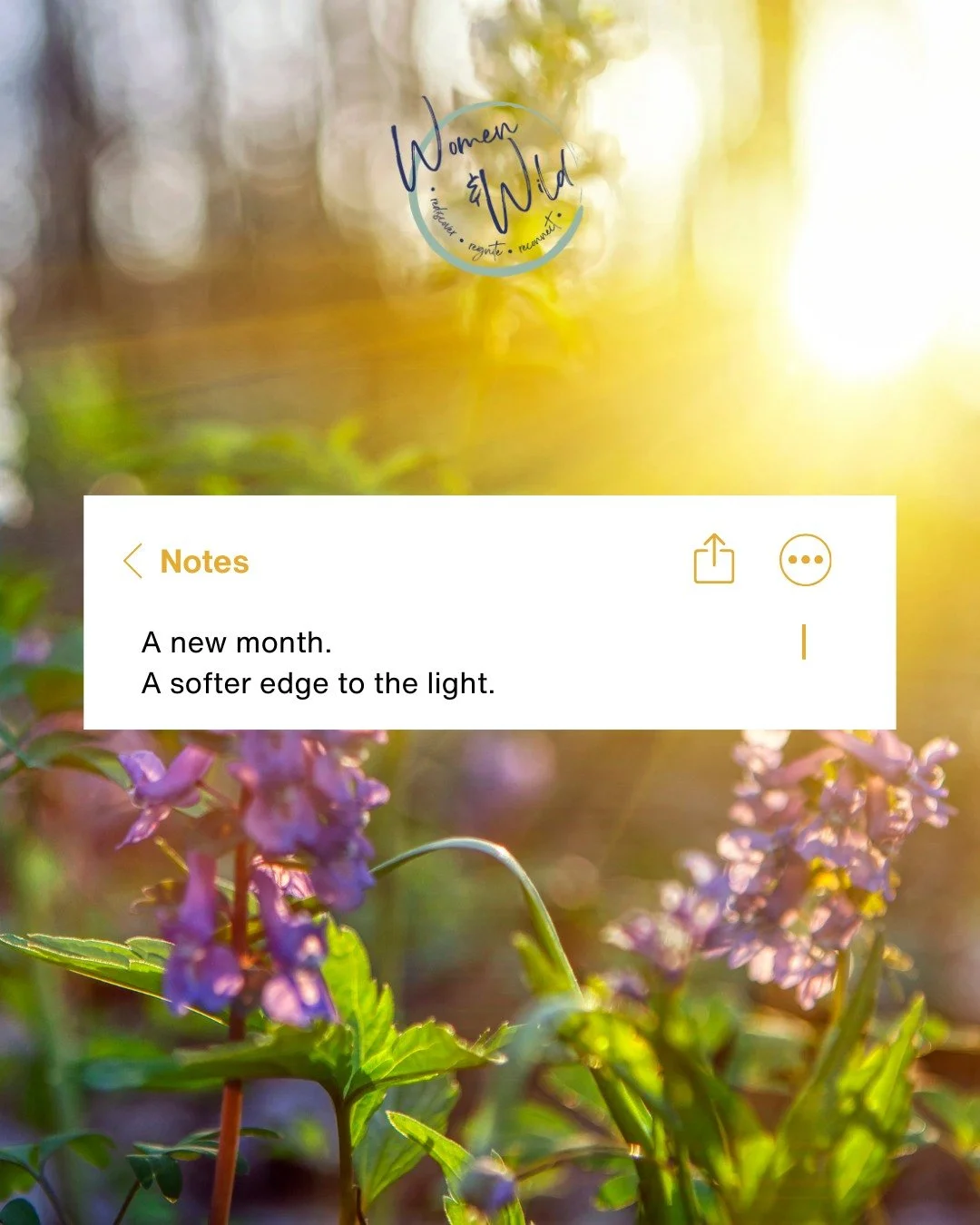 There&rsquo;s something about March 🌿

The light lingers, the edges of the day soften and everything feels just a little less heavy.

Your nervous system feels this too.

You don&rsquo;t need to overhaul your life this Spring. Just notice what feels