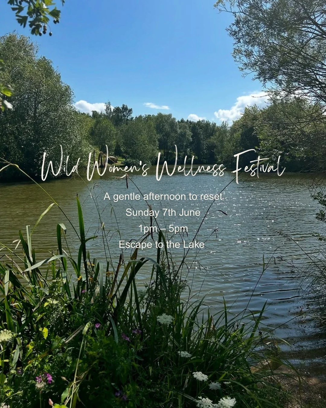 Have you seen the Wild Women&rsquo;s Wellness Festival but are not sure if it&rsquo;s for you? 🌿

This is what the afternoon actually looks like.

Just a few hours to slow down, think clearly and have proper space for yourself. Women often leave fee