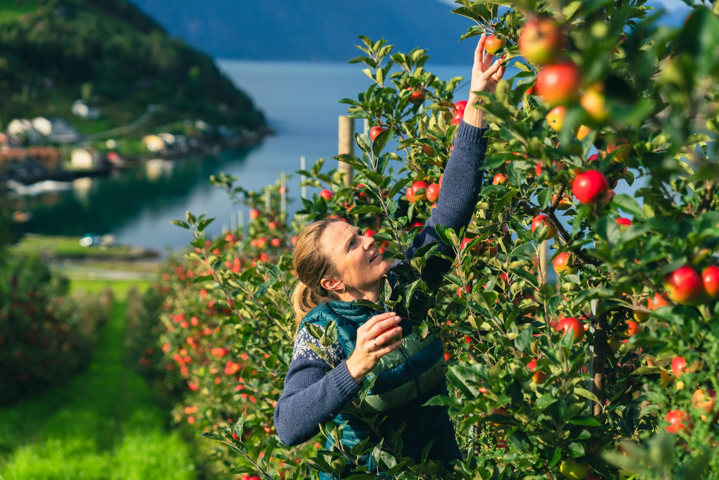 Rekordmange produsentar frå Sogn på Bergen Matfestival 