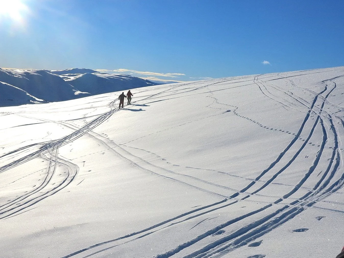 Bilde av skigåarar på fjellet