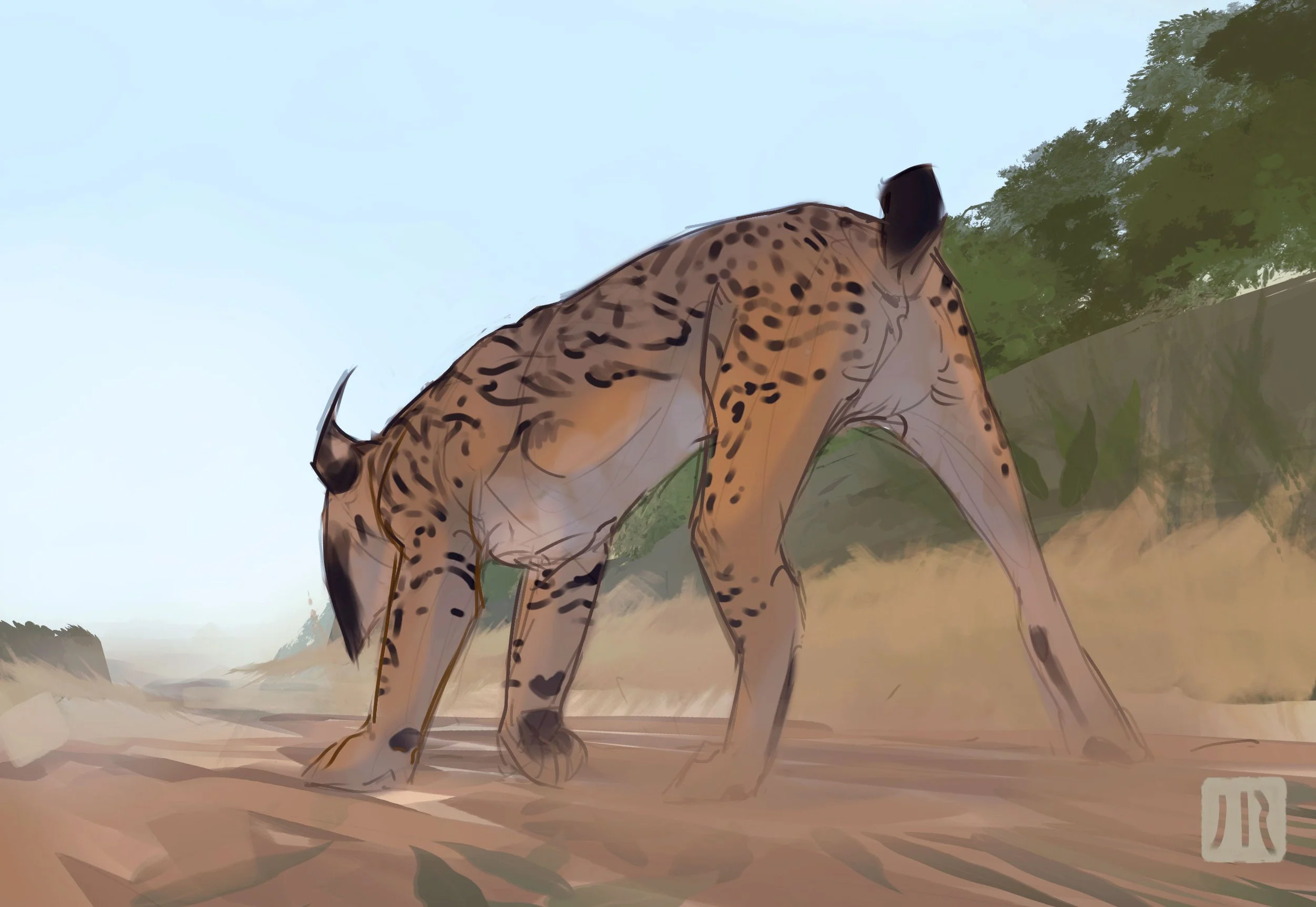 lynx.jpg