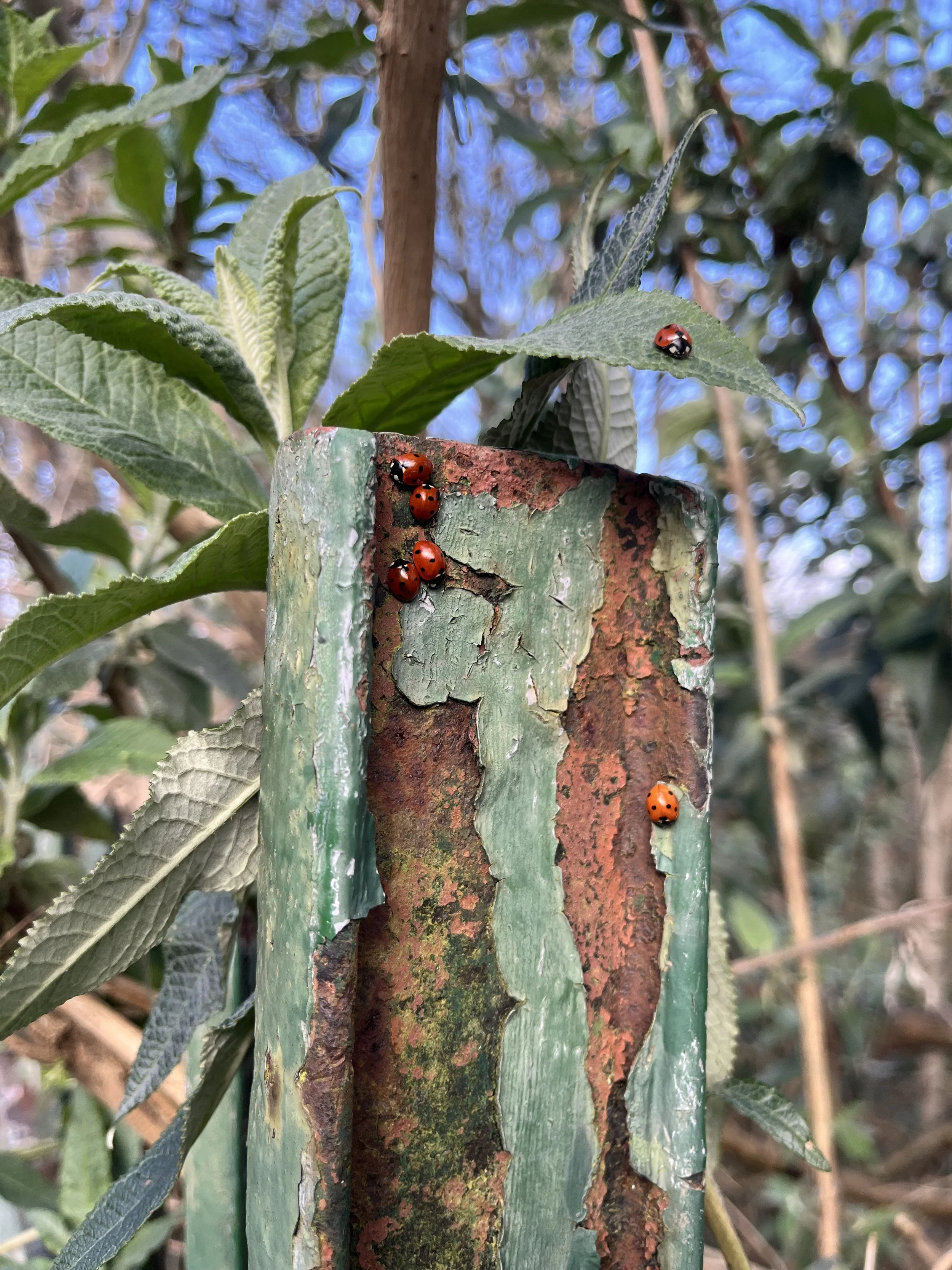 March 2026 Newsletter