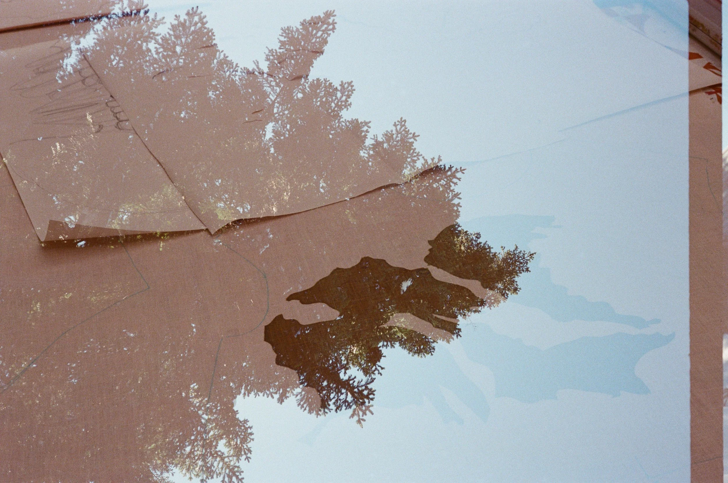 tree and screen printing