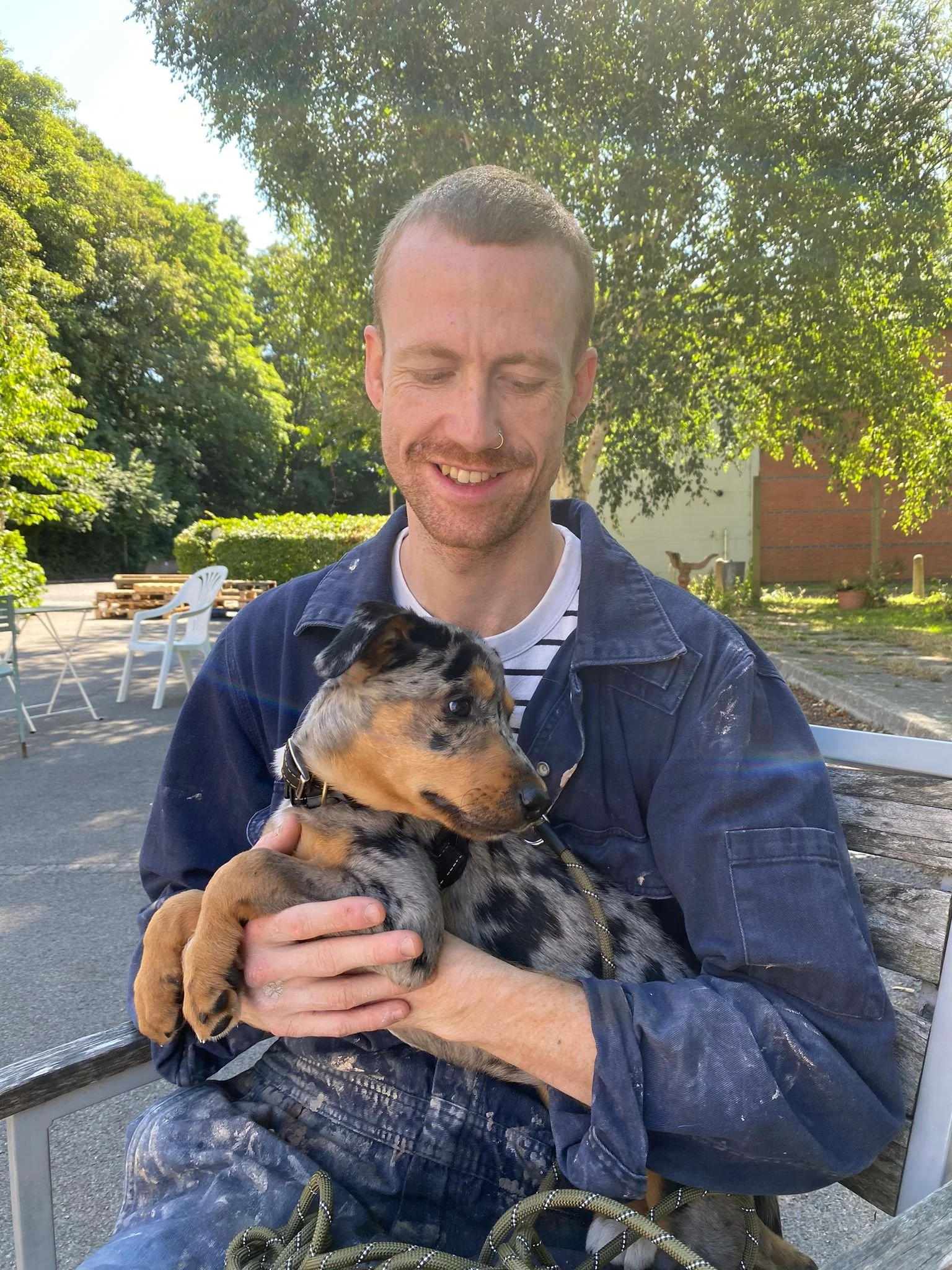 A man sitting on a park bench holding a small, multicolored puppy in his arms, with trees and outdoor furniture around him.