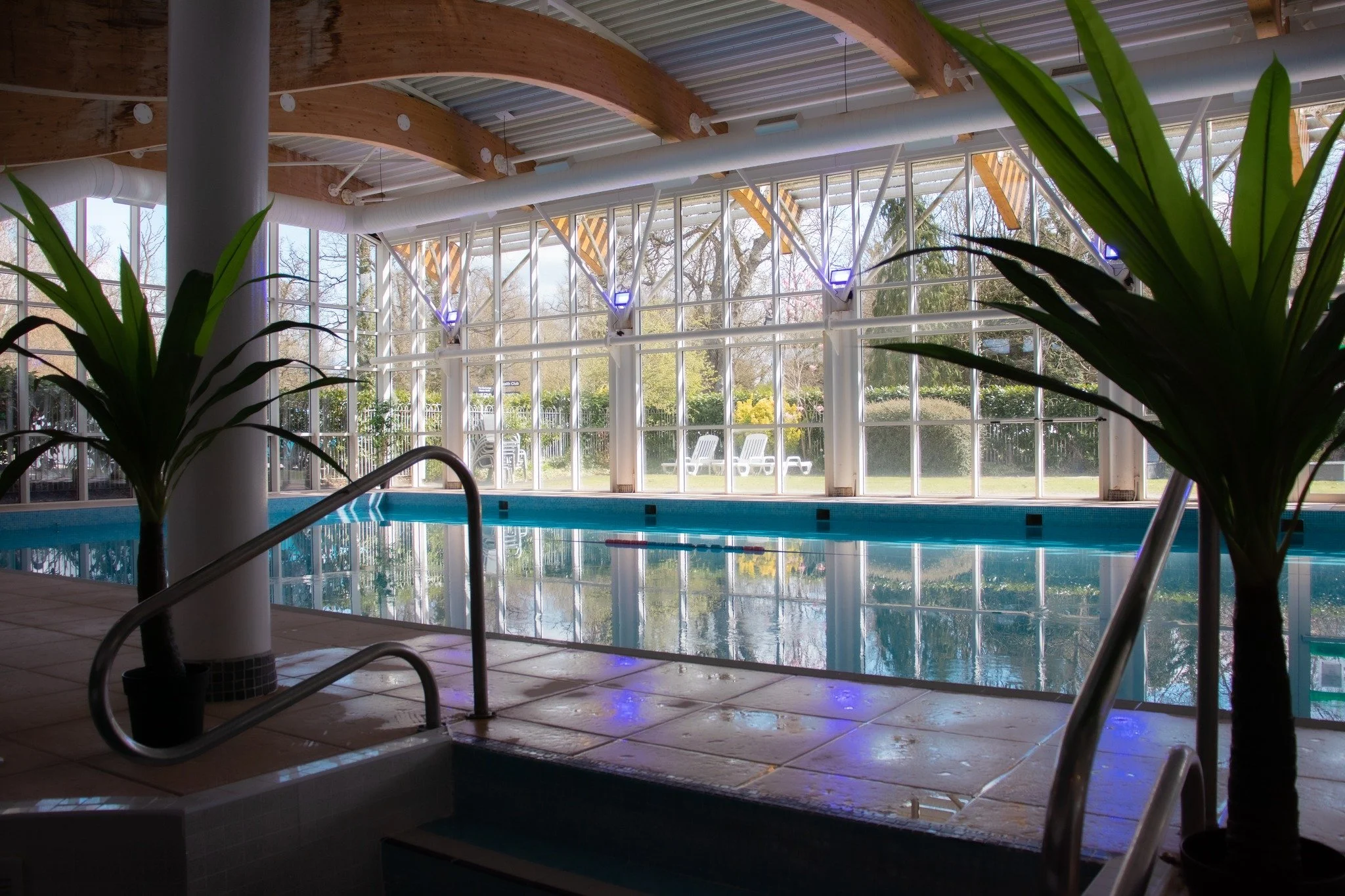 Indoor swimming pool with large windows, potted plants, and lounge chairs outside in a sunny garden.