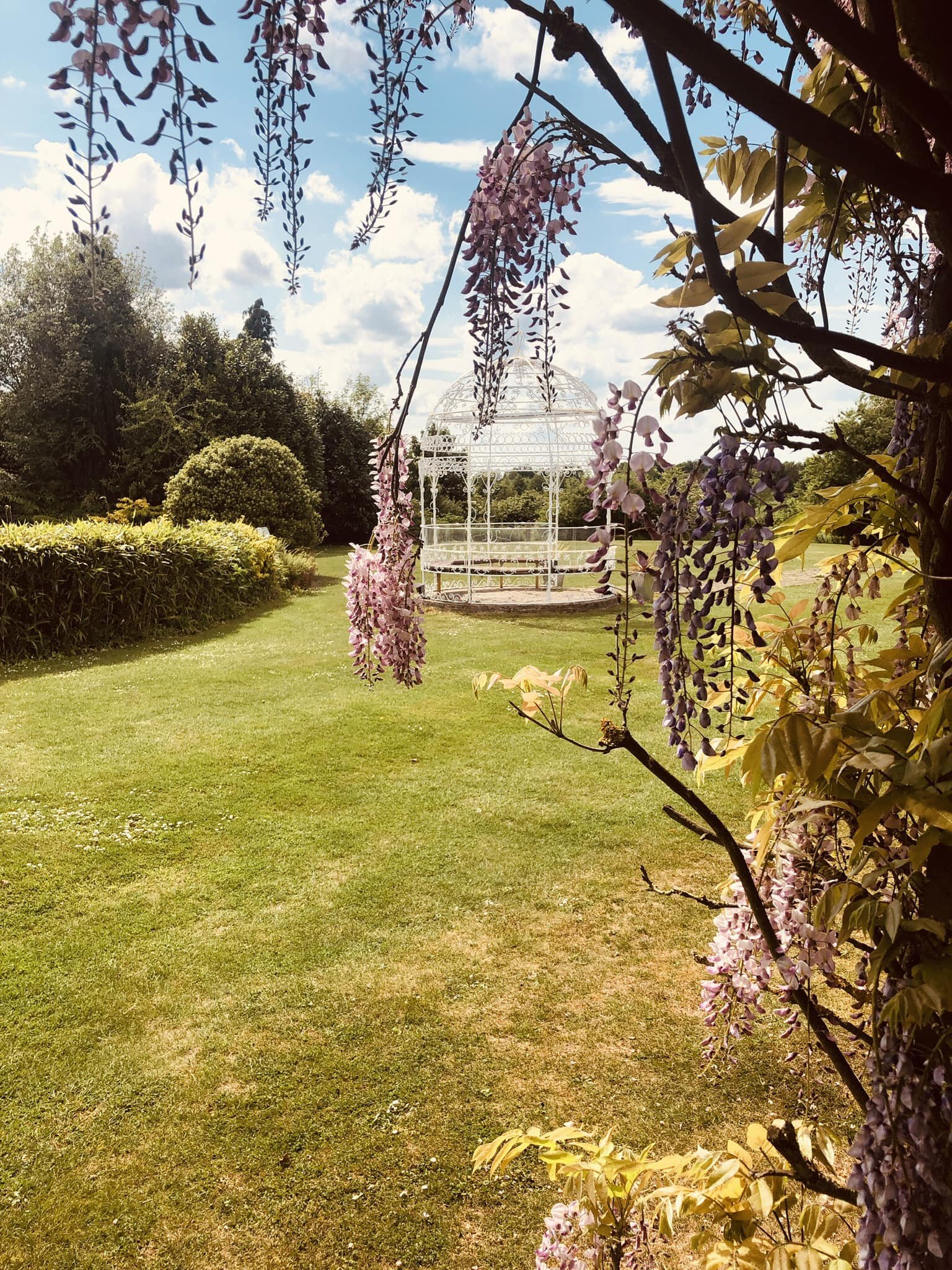 A garden scene with a grassy lawn, purple wisteria flowers hanging from a tree, a white ornate garden gazebo in the background, and a partly cloudy sky overhead.