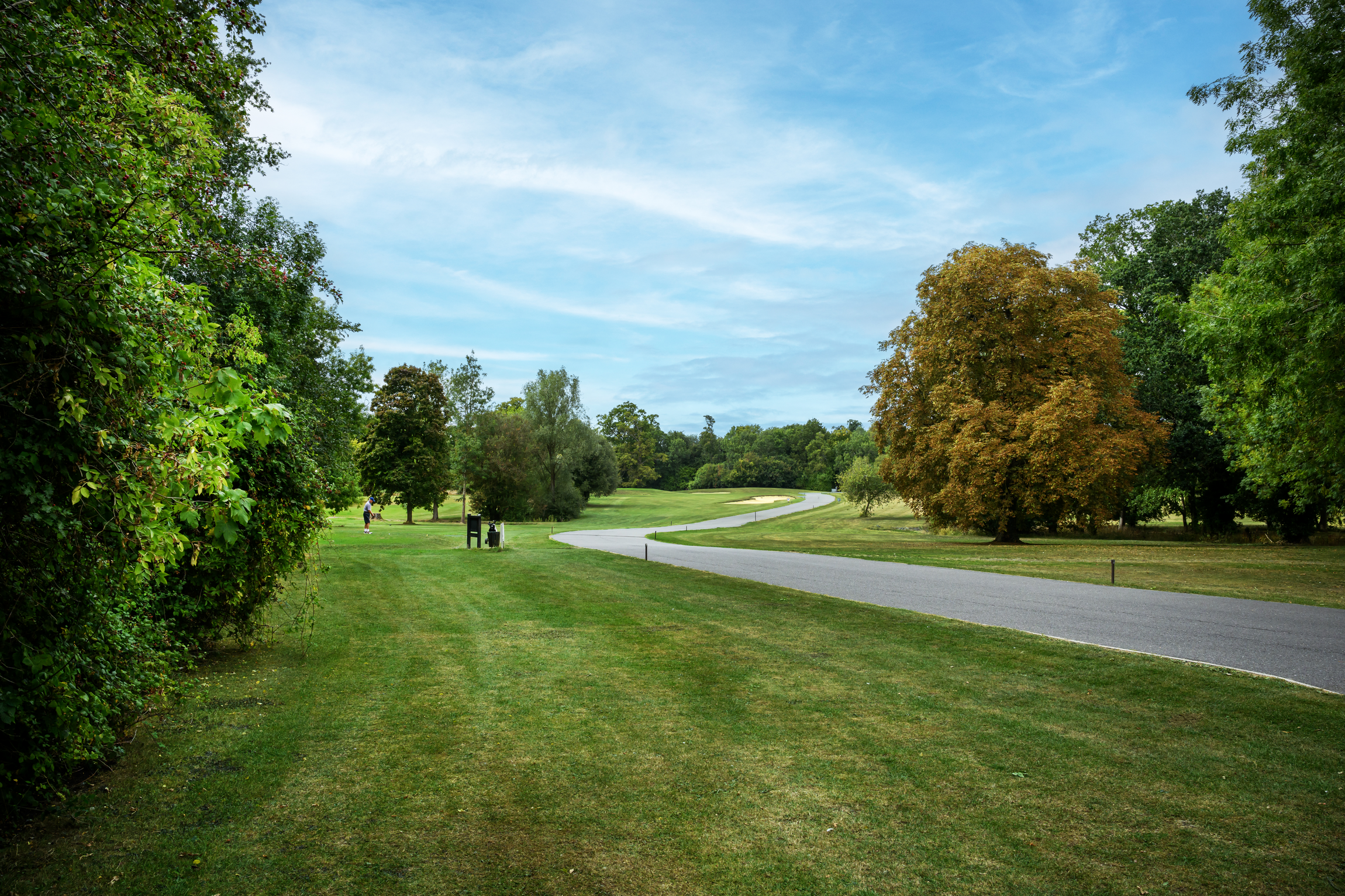 A winding paved path through a lush green park with trees on both sides, a person walking in the distance, and a blue sky with scattered clouds.