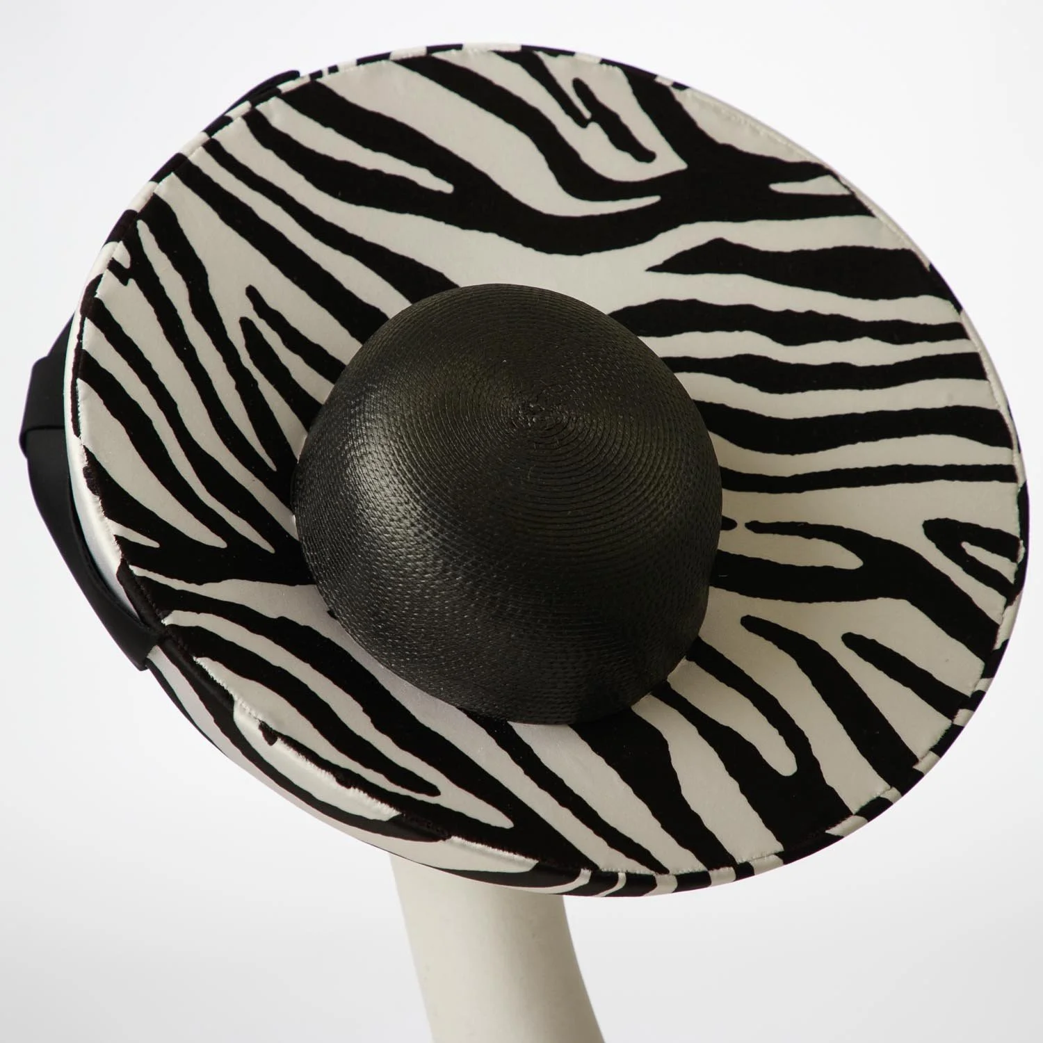 leonora-zebra-back.jpg