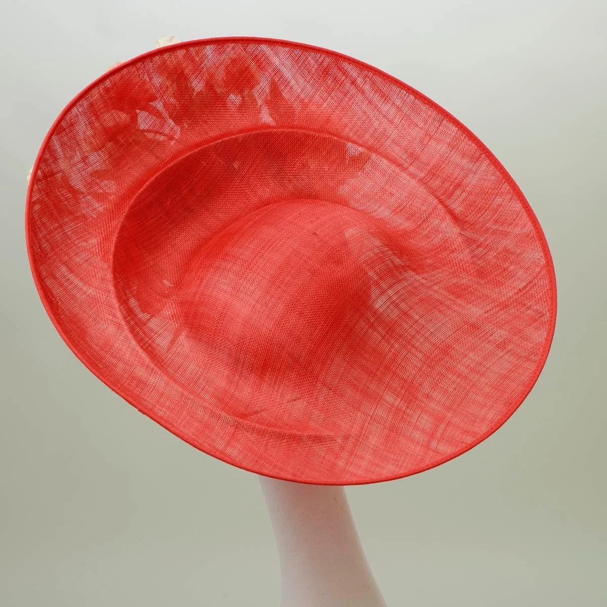 janet-coral-back.jpg