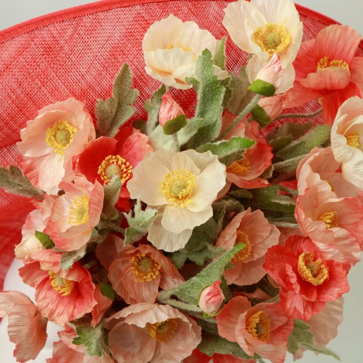 janet-coral-detail.jpg