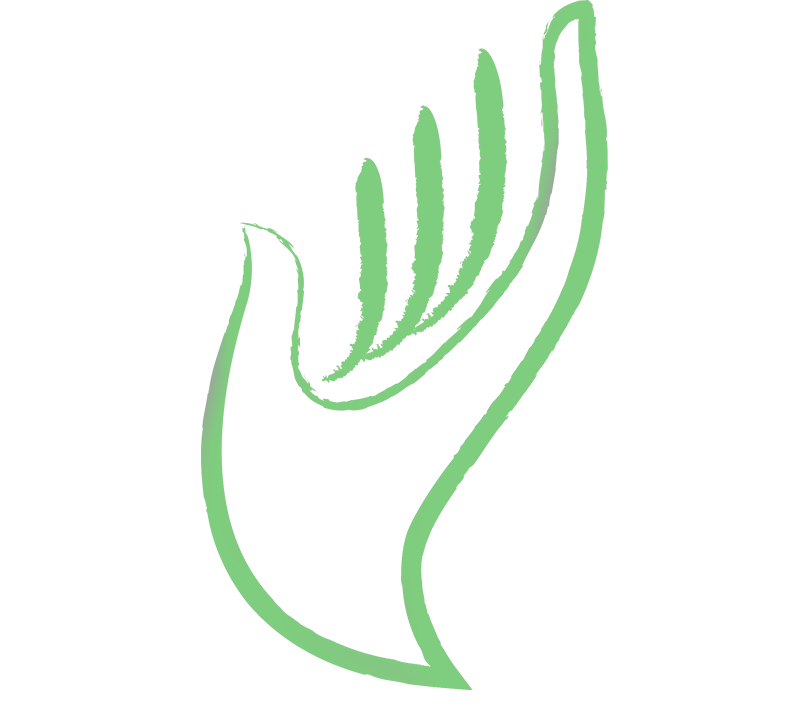 Illustration d'une main stylisée en vert, symbole du Centre Main Morbihan.