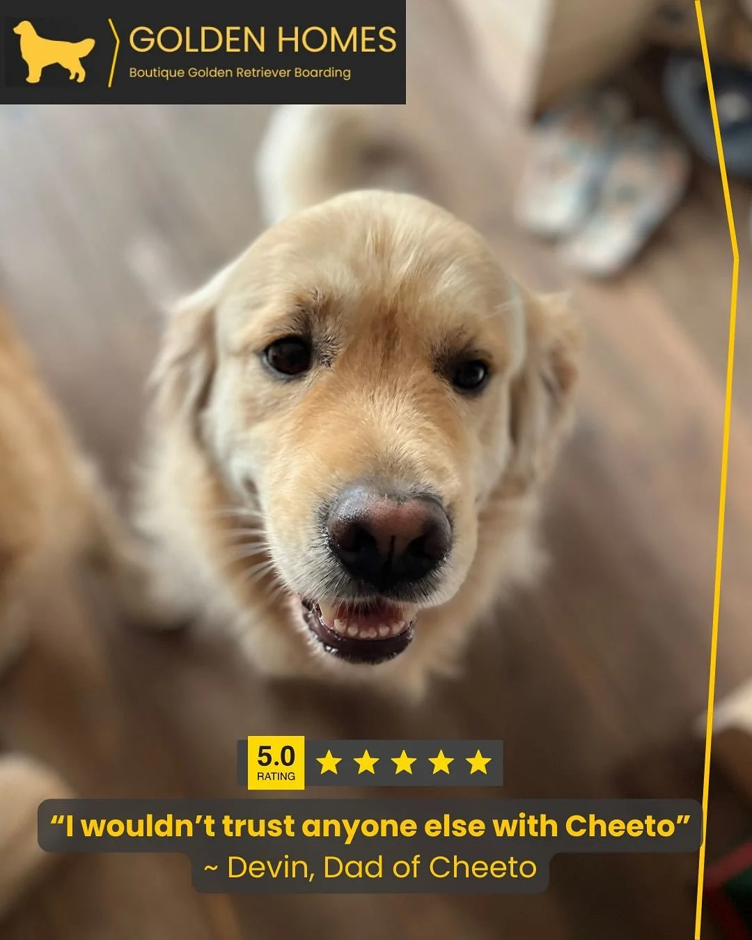 Just the best to receive a review like this! 
Thank you for trusting us Devin 💛 
We loved having Cheeto and truly look forward to his next visit, we miss him already. 

#GoldenHomes #goldenretrieverboarding #goldenretriever