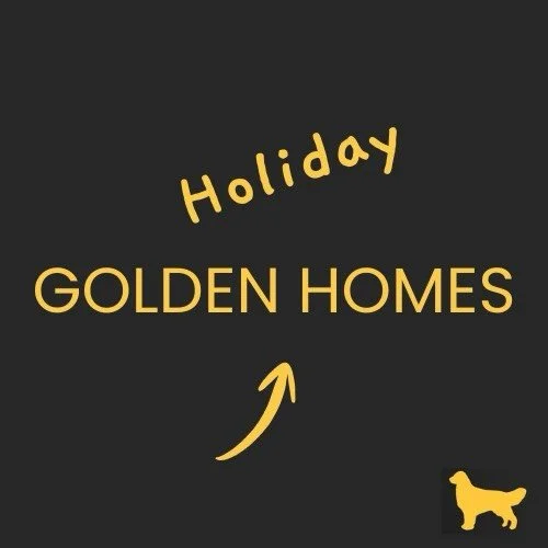Golden Homes is expanding 🎉

Since launching in July 2025, the bookings started rolling in from families with golden retrievers, families just like ours, looking for a place where their goldens can stay while their humans go on holiday. A place that