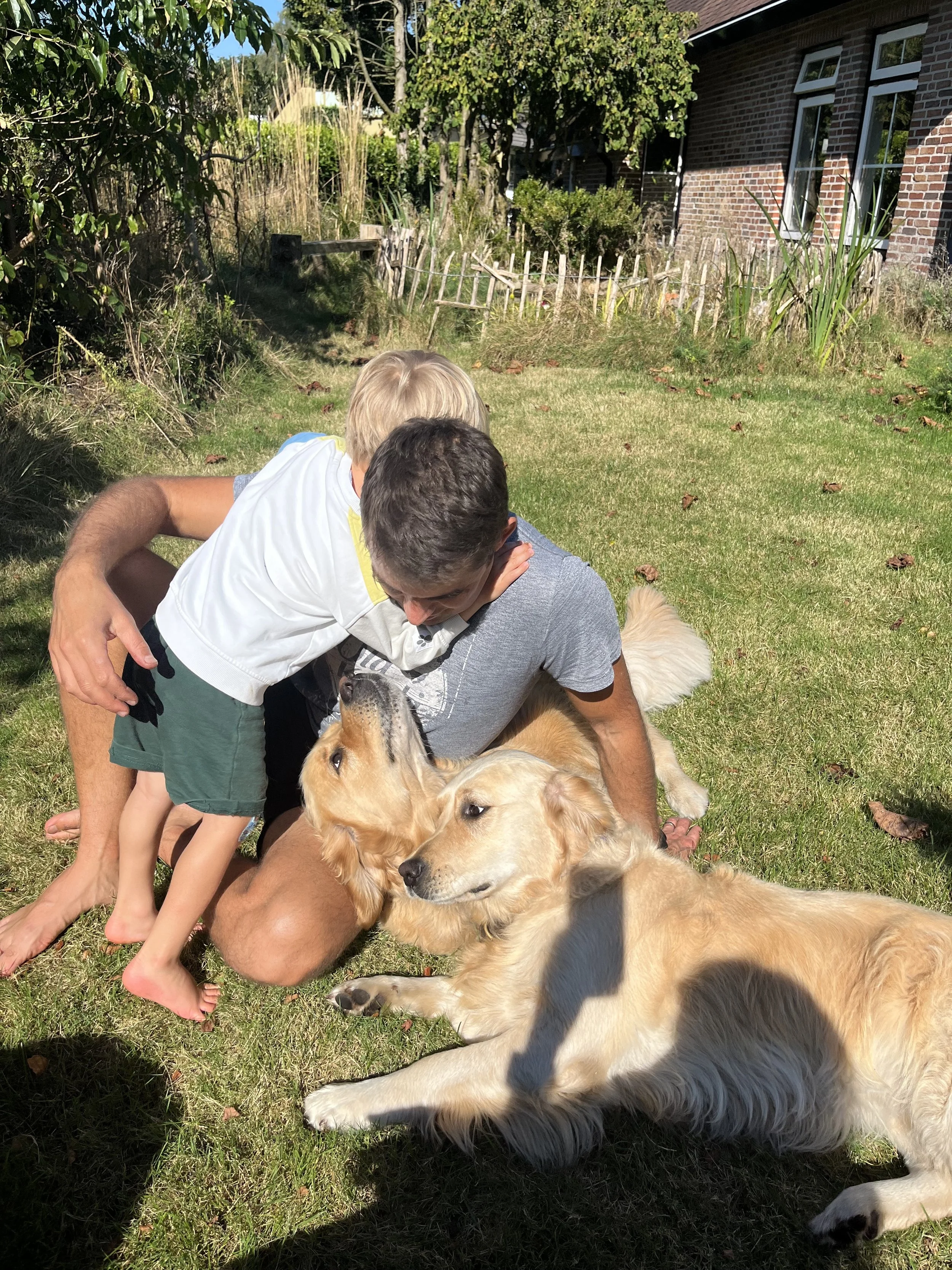 Two golden retrievers lying on the grass in a backyard with two boys, one hugging the other, and the other standing on the grass.