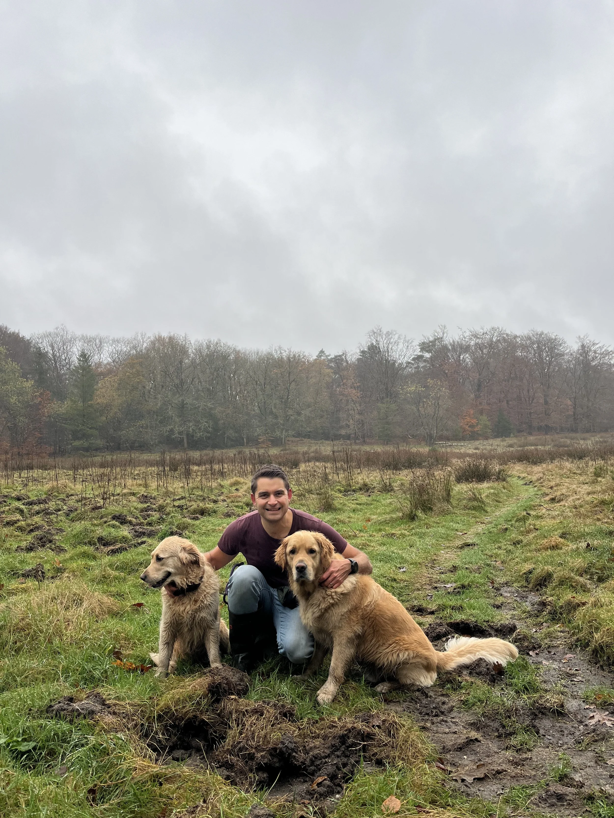 A man kneeling on grass with two golden retrievers in an outdoor field on a cloudy day.