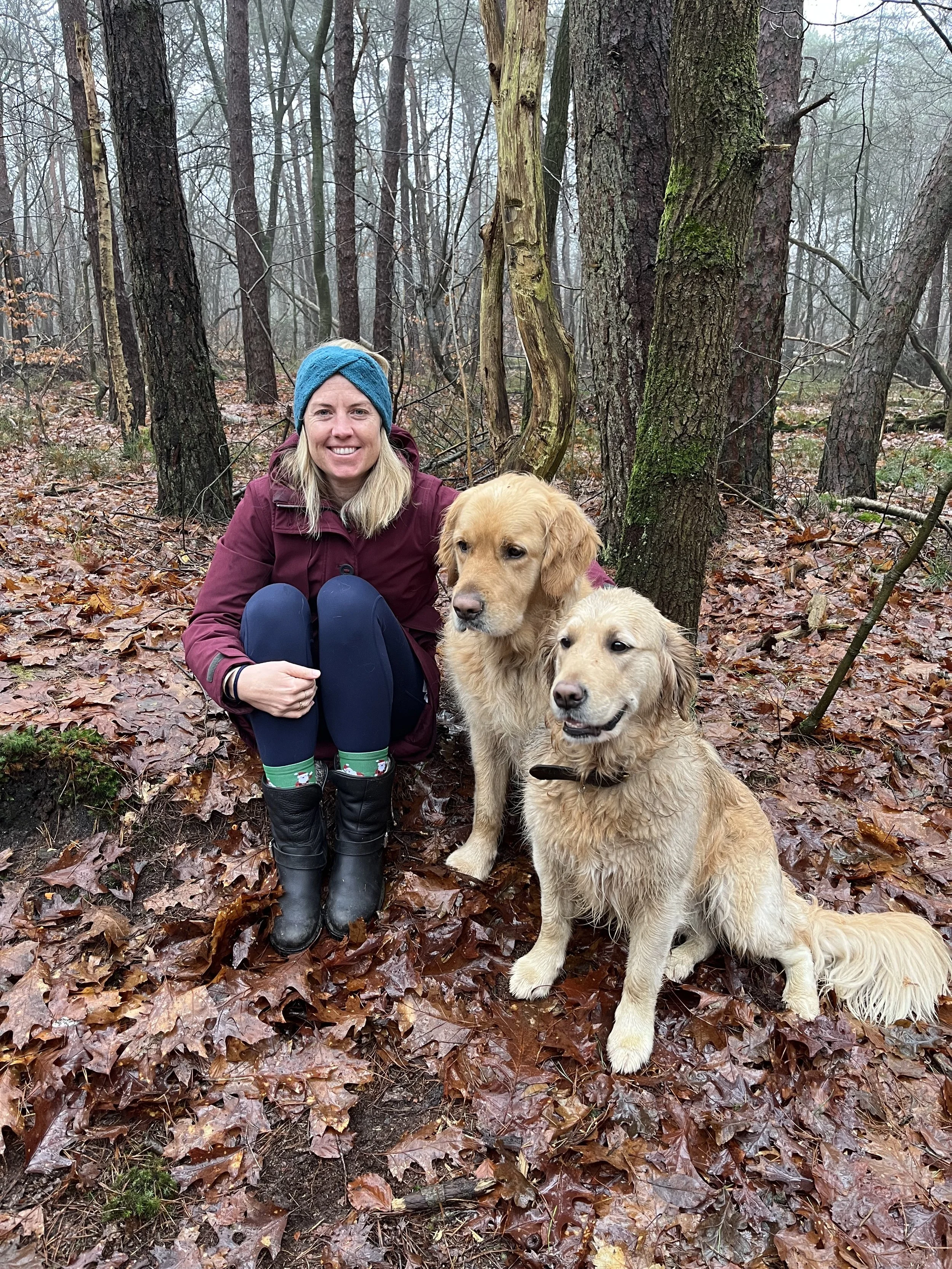 A woman in a blue hat and maroon jacket sitting on the forest floor with two golden retriever dogs, surrounded by leafless trees and wet leaves.