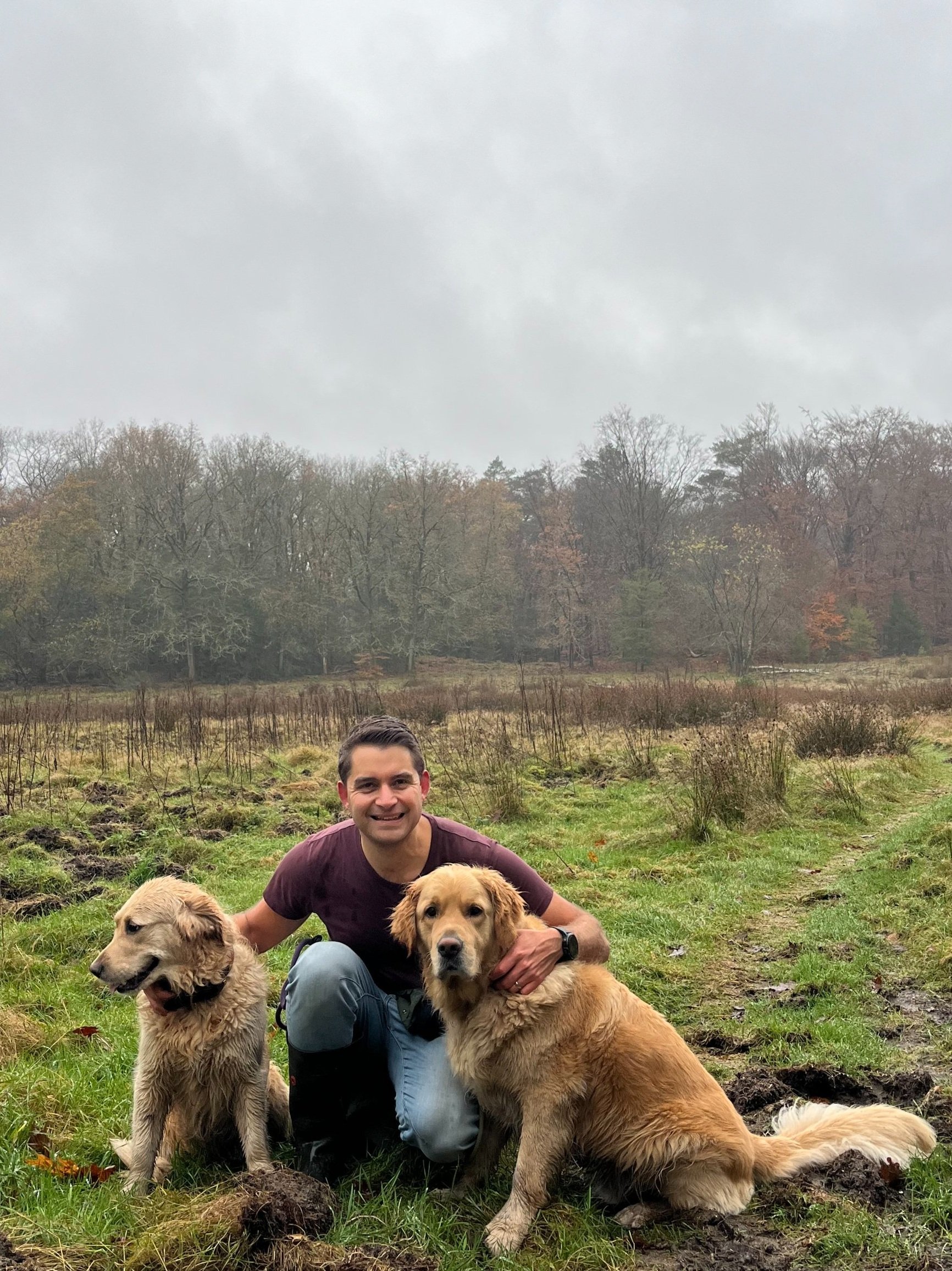 A man kneeling on a grassy field with two Golden Retrievers on a gray, cloudy day.