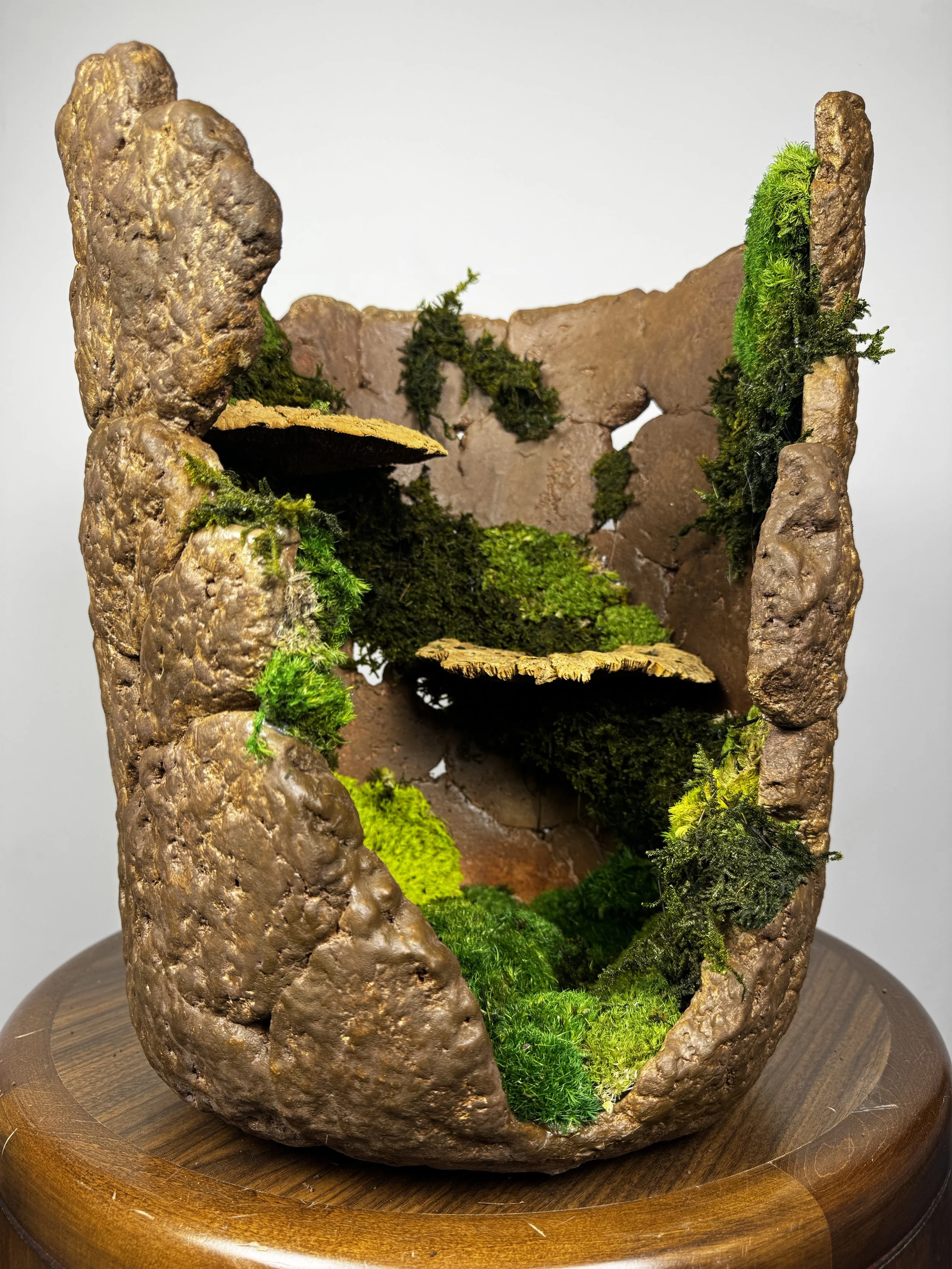 Title: Ancient Garden
•	Date: 2026
•	Medium: Cellulose-cement composite base with textured acrylic paint finish, moss, lichen
•	Dimensions: 15” x 13” 13” 
•	Description: The art depicts an ancient rock basket abandoned a millennia ago and reclaimed b