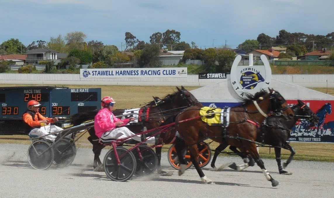 Emma Stewart toughest to topple in Stawell Pacing Cup | Racing