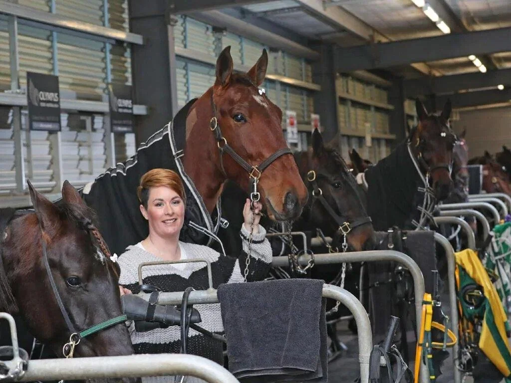 Harness trainers Emma Stewart and Clayton Tonkin swap camps for thoroughbred racing project