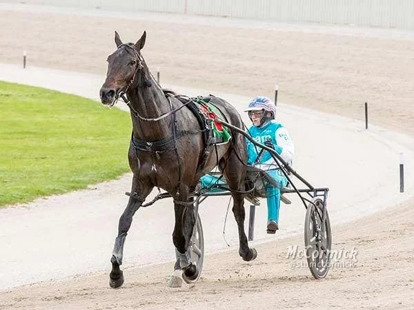 Stable Weekly Wrap | 7 Feb 2021