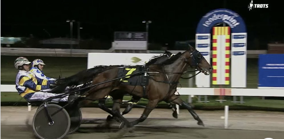 Weekly Wrap | 11 April 2021